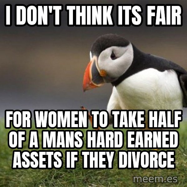 Unpopular Opinion Puffin meme: I don't think its fair / for women to take half of a mans hard earned assets if they divorce