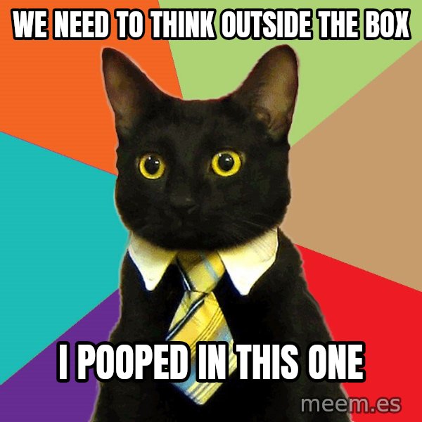 Business Cat meme: WE NEED TO THINK OUTSIDE THE BOX / I POOPED IN THIS ONE