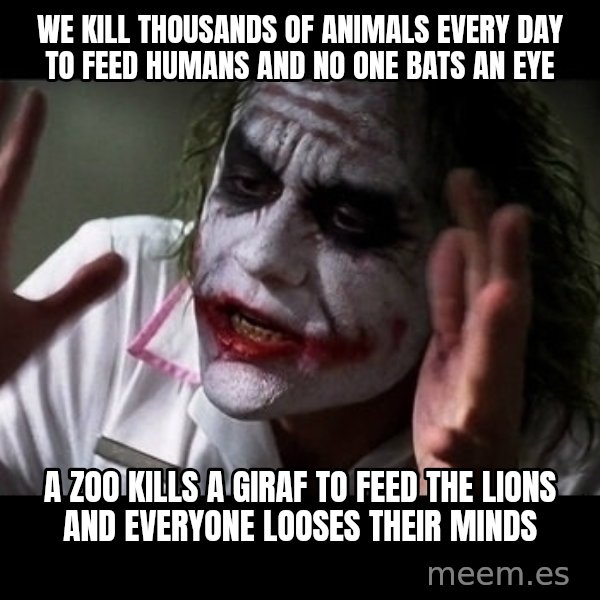 joker mind loss meme: We kill thousands of animals every day to feed humans and no one bats an eye / A zoo kills a giraf to feed the lions and everyone looses their minds