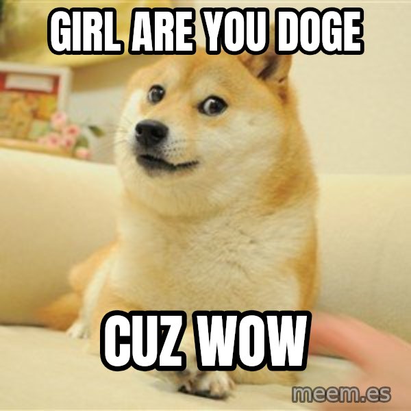 so doge meme: girl are you doge / cuz wow