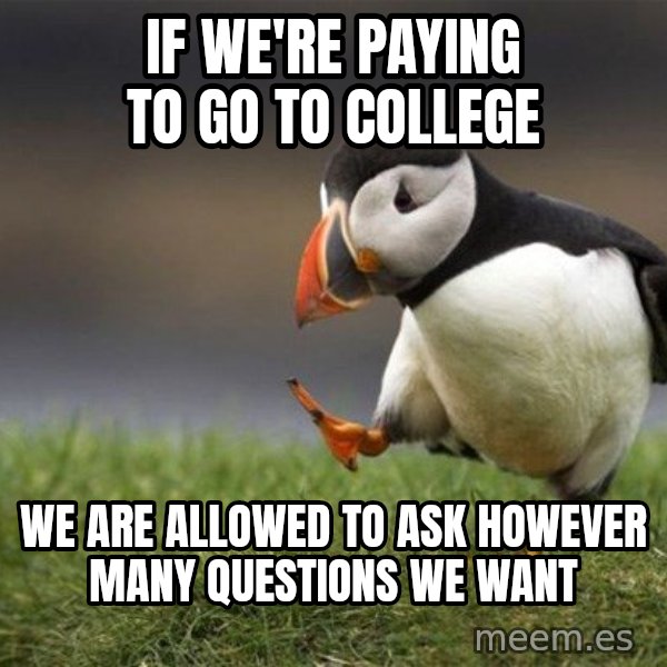Unpopular Opinion Puffin meme: If we're paying to go to college / We are allowed to ask however many questions we want