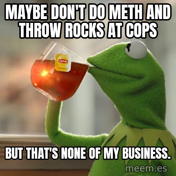 Kermit The Frog Drinking Tea meme: Maybe don't do meth and throw rocks at cops / But that's none of my business.