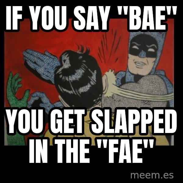 batman slap robin meme: If you say "bae" / you get slapped in the "fae"
