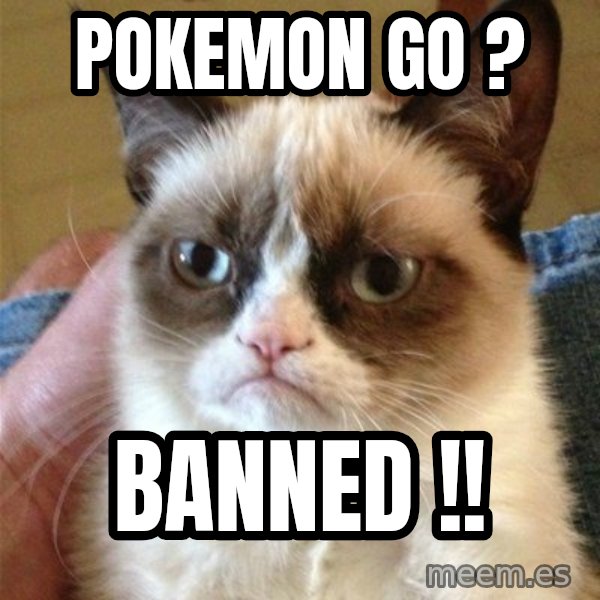 Grumpy Cat  meme: POKEMON GO ? / BANNED !!