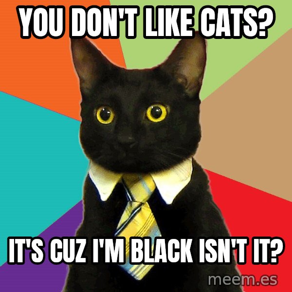 Business Cat meme: you don't like cats? / it's cuz i'm black isn't it?