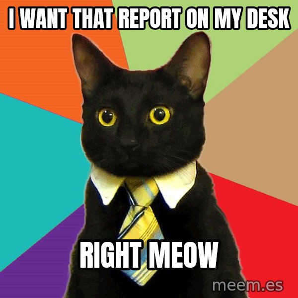 Business Cat meme: I want that report on my desk / right meow