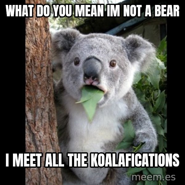 Koala can't believe it meme: what do you mean im not a bear / i meet all the koalafications