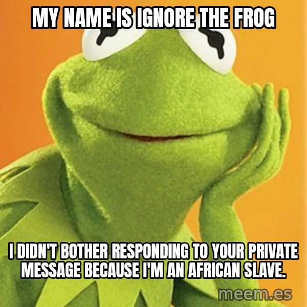 Kermit the frog meme: My name is Ignore the Frog / I didn't bother responding to your private message because                                             I'm an African slave.