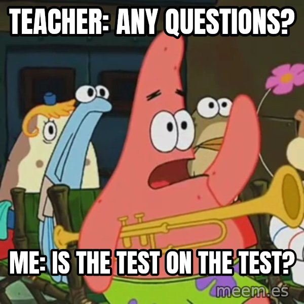 Is Mayonnaise an Instrument? meme: Teacher: any questions? / Me: is the test on the test?