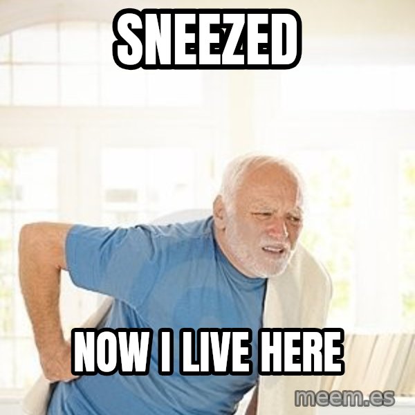 Harold's Back meme: Sneezed / now I live here