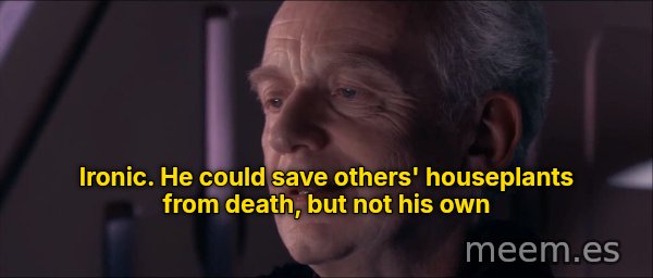 Ironic meme: Ironic. He could save others' houseplants from death, but not his own