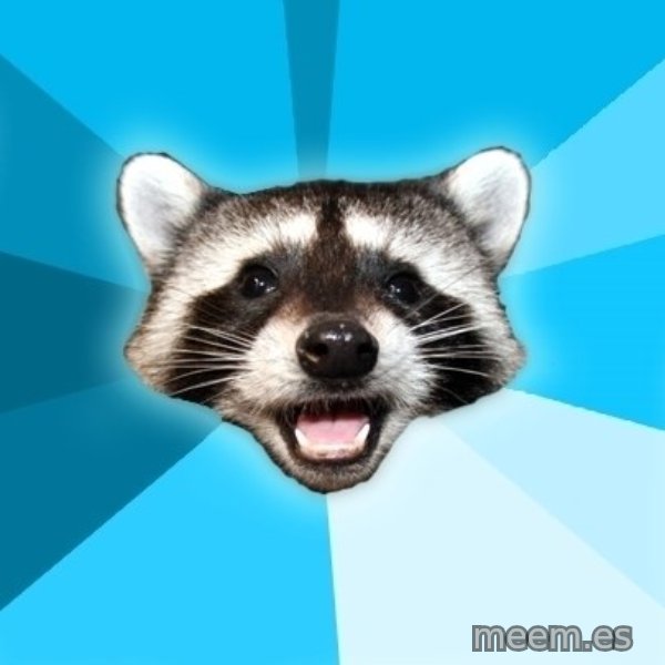 Lame Pun Coon meme template