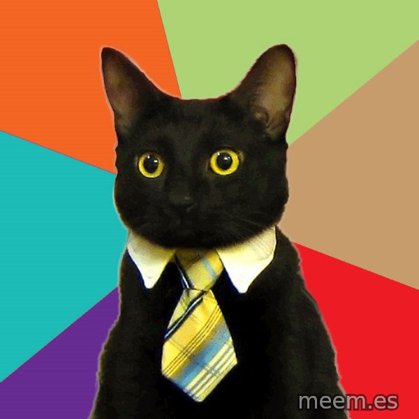 Business Cat meme template