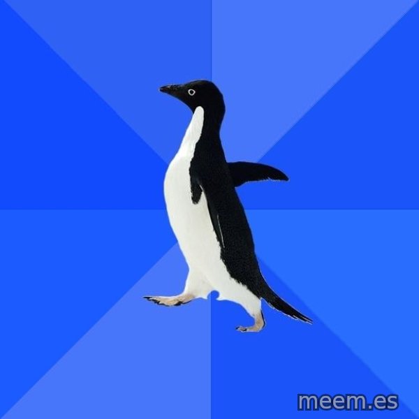 Socially Awkward Penguin meme template